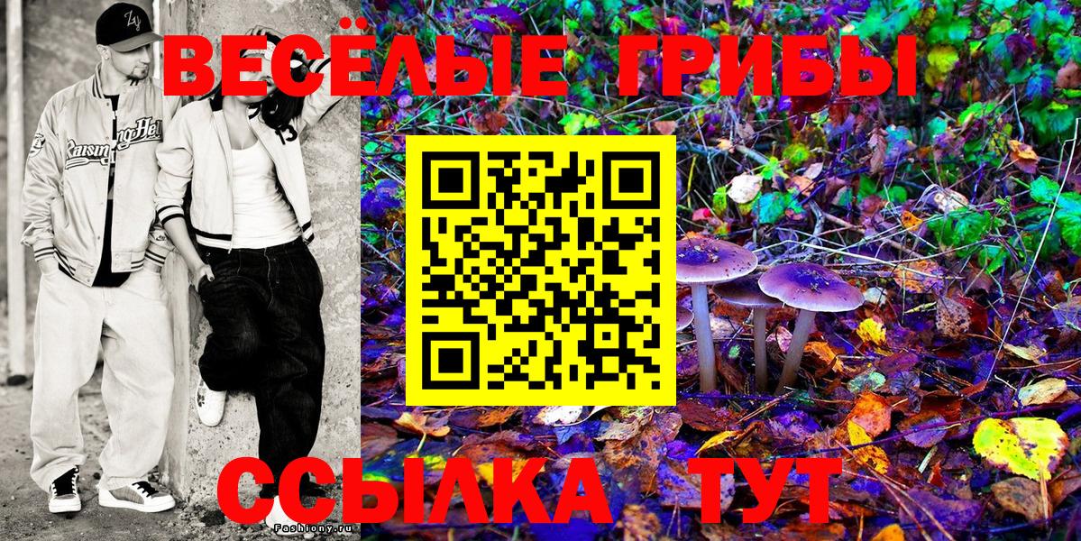 Грязи  Псилоцибиновые грибы Magic Shrooms  Вход с VPN 
